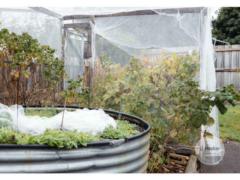 63 Cleburne Street, Kingston TAS 7050