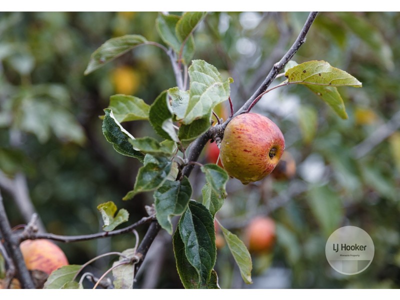 63 Cleburne Street, Kingston TAS 7050