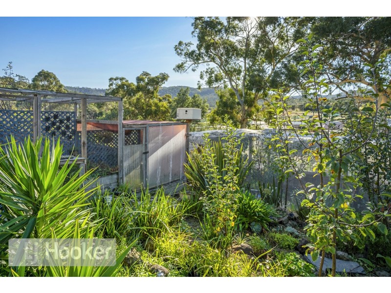 9 Kerria Road, Risdon Vale TAS 7016