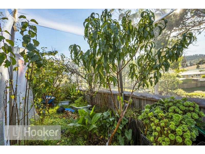 9 Kerria Road, Risdon Vale TAS 7016