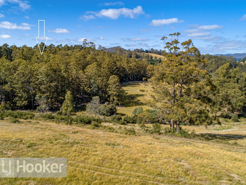 65 Pioneer Road, Kaoota TAS 7150