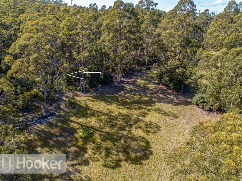 65 Pioneer Road, Kaoota TAS 7150