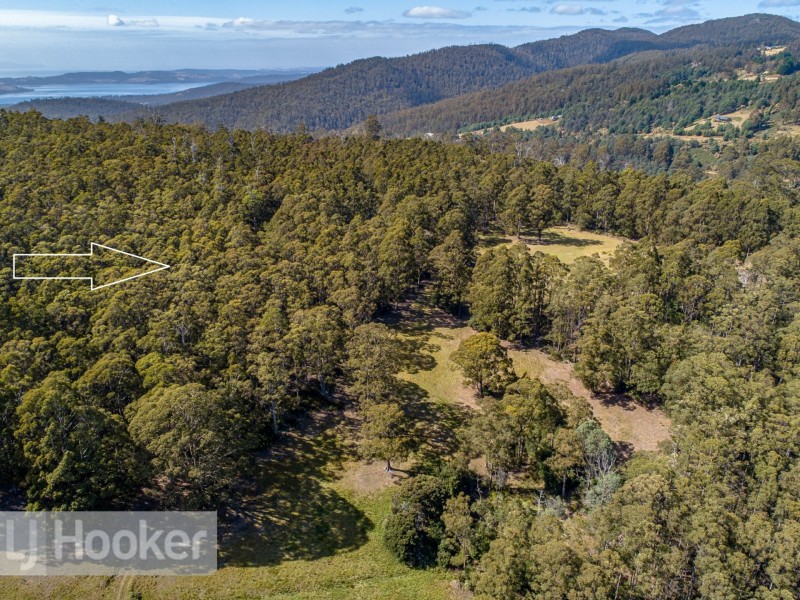 65 Pioneer Road, Kaoota TAS 7150