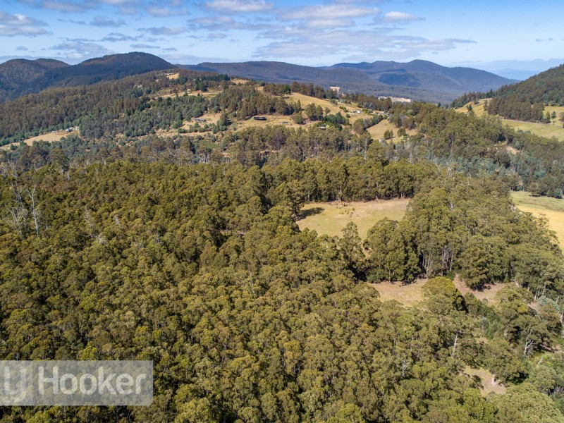 65 Pioneer Road, Kaoota TAS 7150