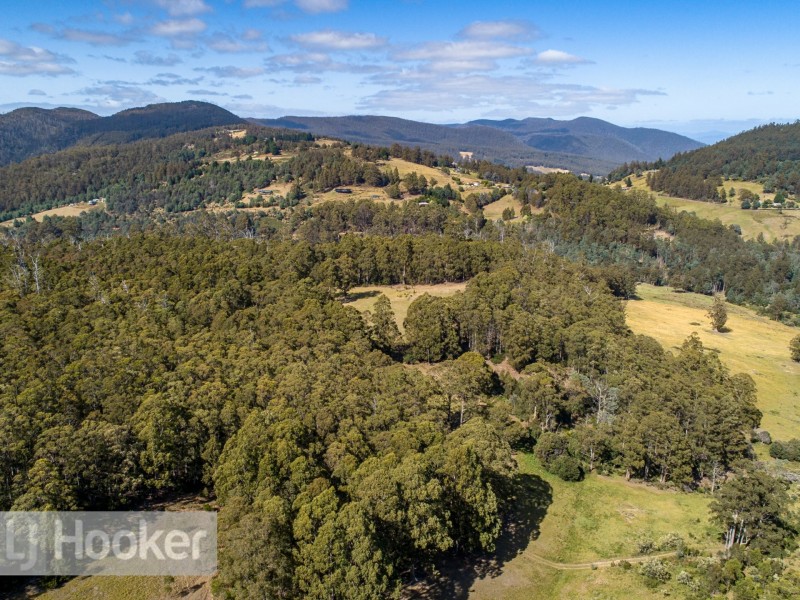 65 Pioneer Road, Kaoota TAS 7150