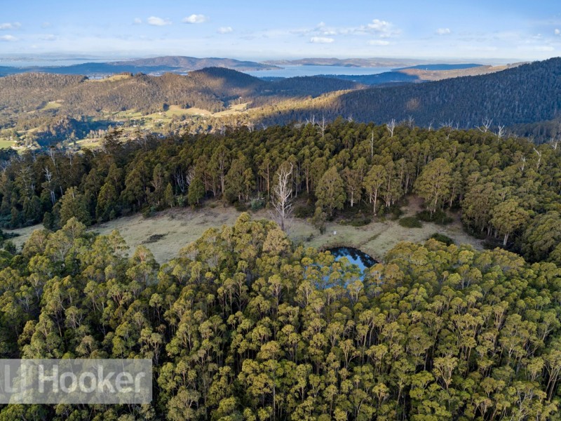 218 Talbots Road, Sandfly TAS 7150