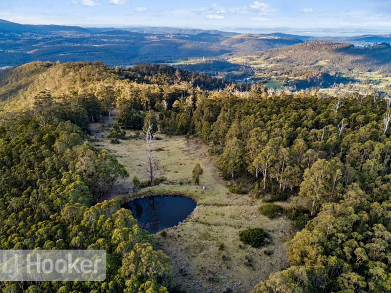 218 Talbots Road, Sandfly TAS 7150