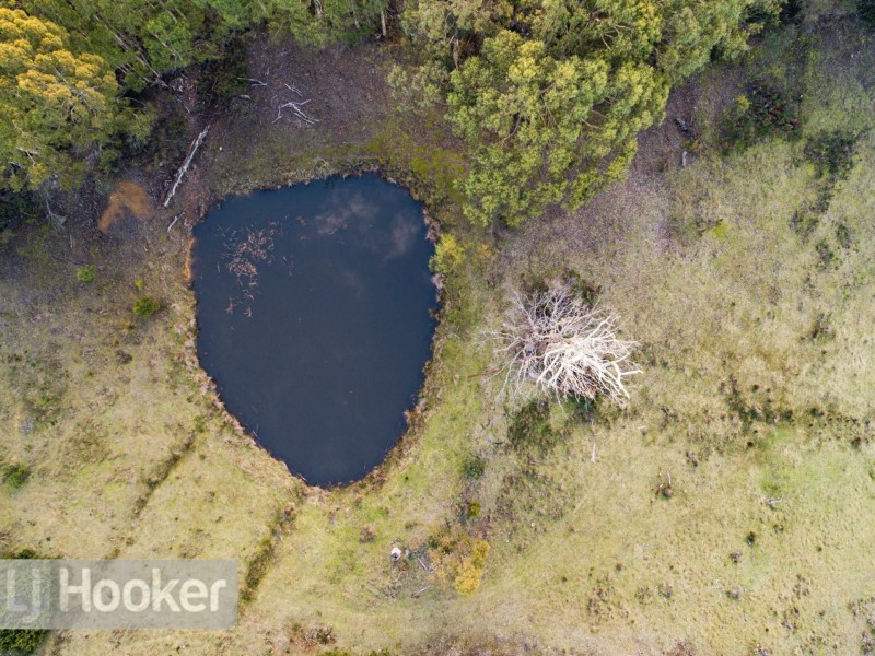 218 Talbots Road, Sandfly TAS 7150