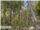 Lot 2 Nierinna Road, Margate TAS 7054