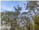 Lot 2 Nierinna Road, Margate TAS 7054