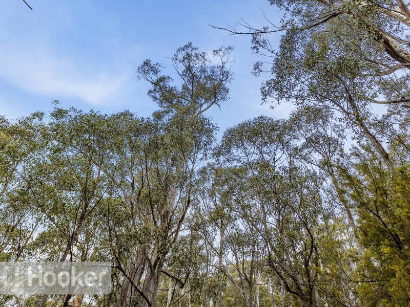 Lot 2 Nierinna Road, Margate TAS 7054