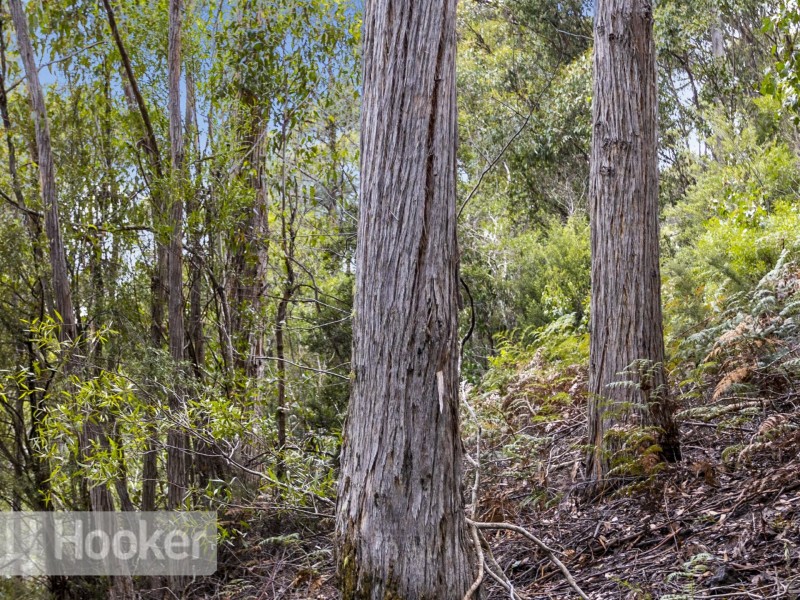 Lot 2 Nierinna Road, Margate TAS 7054