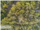 Lot 2 Nierinna Road, Margate TAS 7054