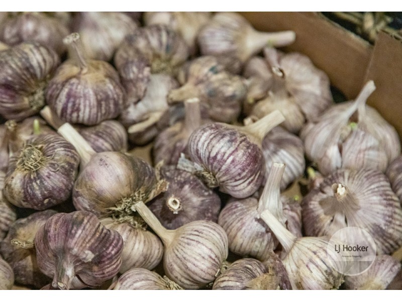 21 Oldham Avenue, New Town TAS 7008