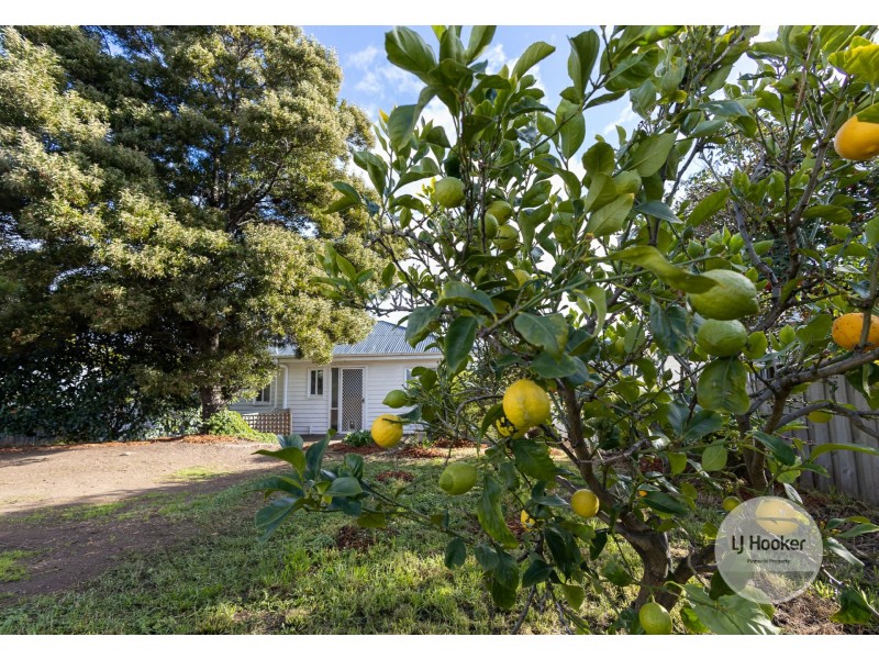 39 Bass Street, Warrane TAS 7018