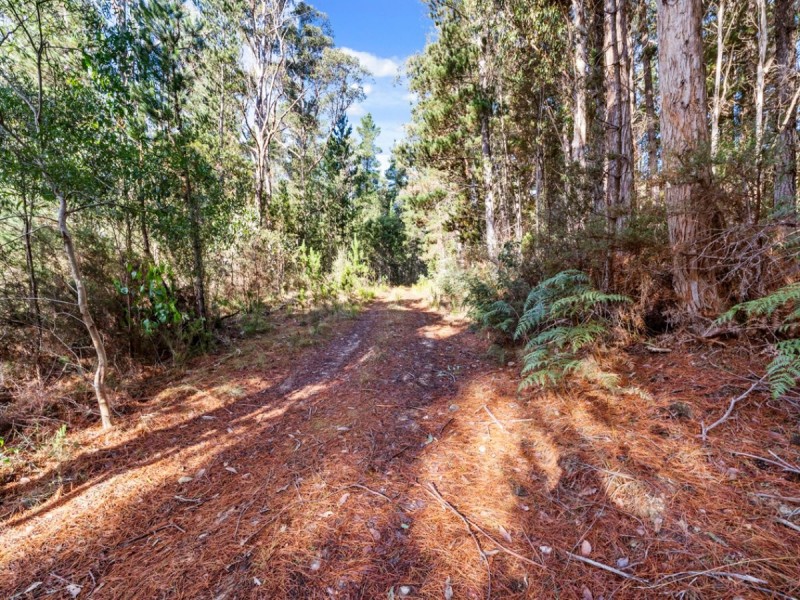 2337 Gordon River Road, National Park TAS 7140