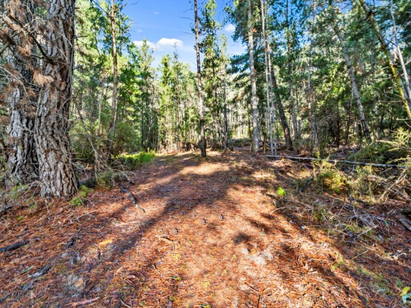 2337 Gordon River Road, National Park TAS 7140