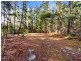 2337 Gordon River Road, National Park TAS 7140