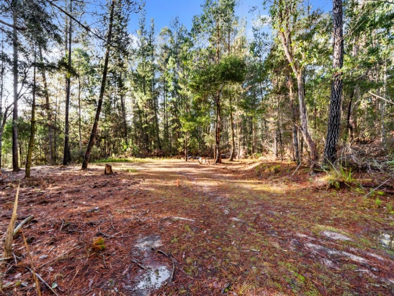 2337 Gordon River Road, National Park TAS 7140