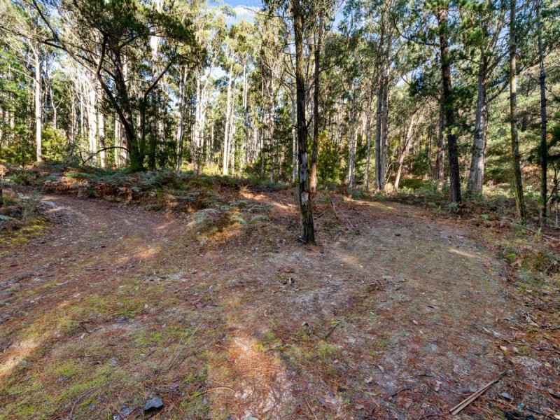 2337 Gordon River Road, National Park TAS 7140