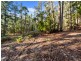 2337 Gordon River Road, National Park TAS 7140