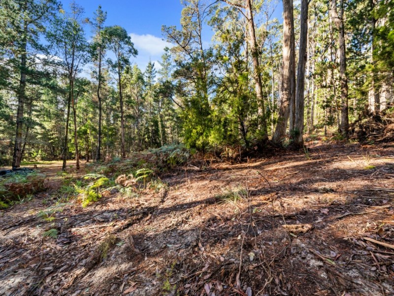 2337 Gordon River Road, National Park TAS 7140