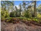 2337 Gordon River Road, National Park TAS 7140
