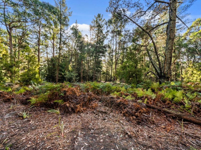 2337 Gordon River Road, National Park TAS 7140