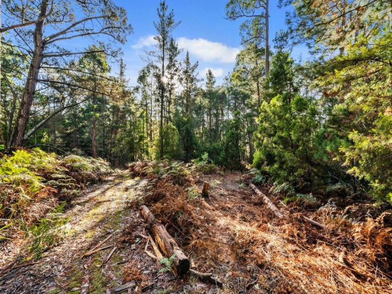 2337 Gordon River Road, National Park TAS 7140