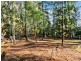 2337 Gordon River Road, National Park TAS 7140