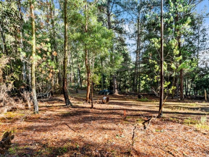 2337 Gordon River Road, National Park TAS 7140