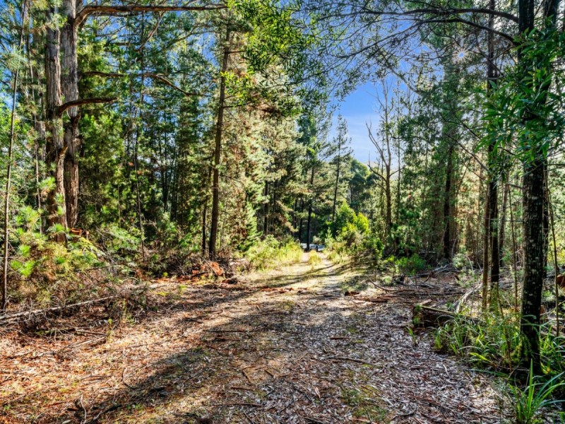 2337 Gordon River Road, National Park TAS 7140