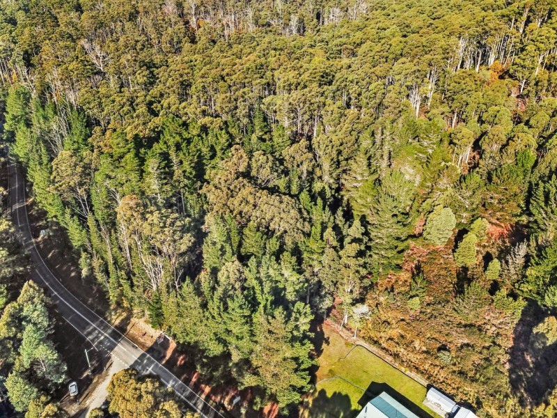 2337 Gordon River Road, National Park TAS 7140