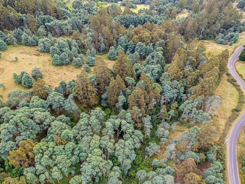 Part of 47 Nicholls Rivulet Road (Lots 1 and 2), Oyster Cove TAS 7150