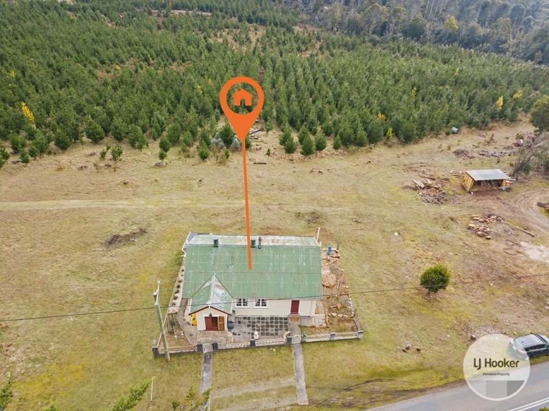 3346 Gordon River Road, Fitzgerald TAS 7140