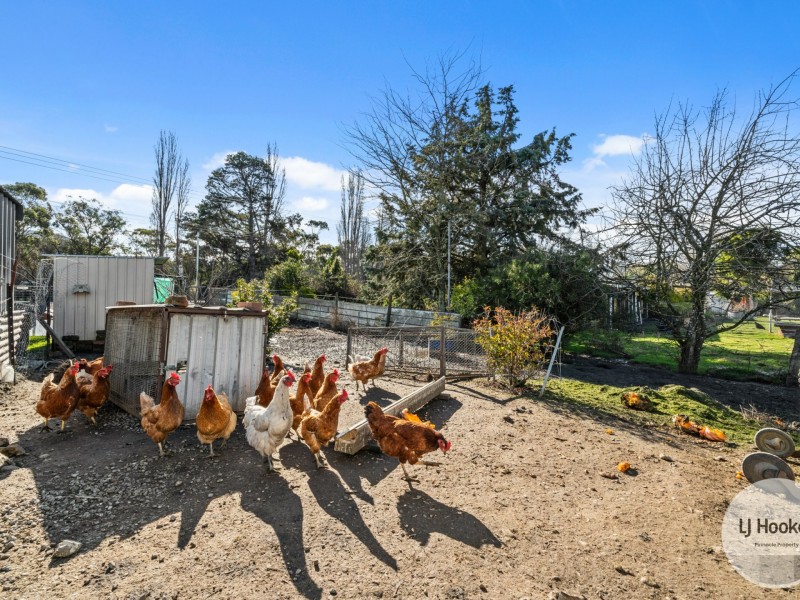 1667 Gordon River Road, Westerway TAS 7140