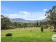 30 Mountain Place, Molesworth TAS 7140