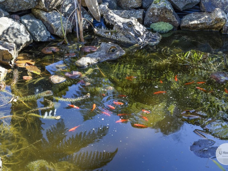 24 Cicero Court, Blackmans Bay TAS 7052