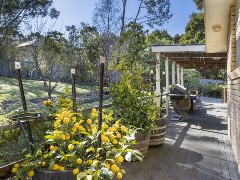 24 Cicero Court, Blackmans Bay TAS 7052