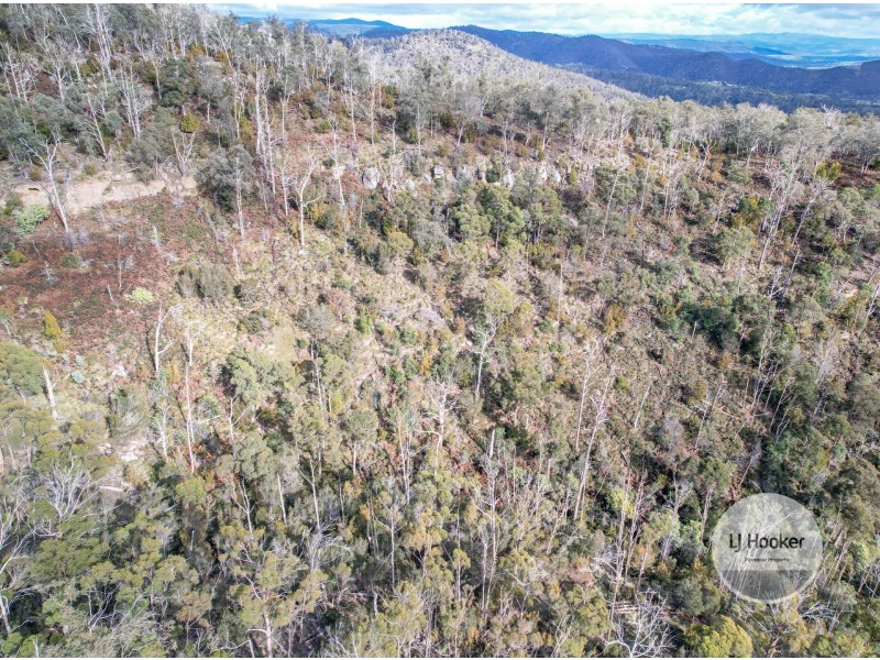Lot 1/484 Molesworth Road, Molesworth TAS 7140