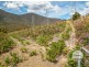 Lot 1/484 Molesworth Road, Molesworth TAS 7140