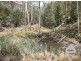 Lot 1/484 Molesworth Road, Molesworth TAS 7140