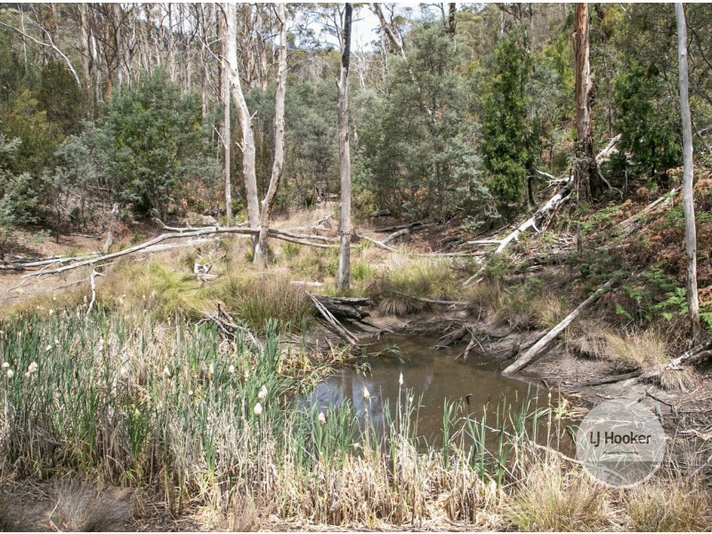 Lot 1/484 Molesworth Road, Molesworth TAS 7140