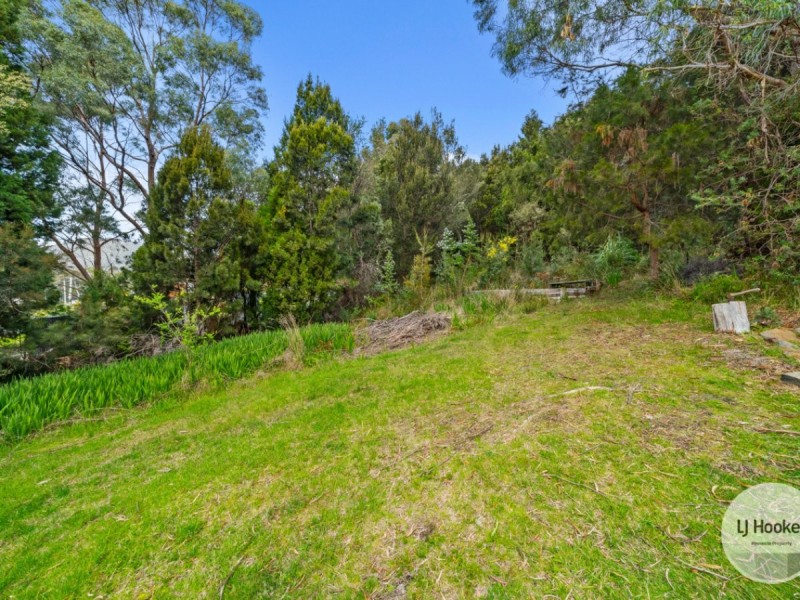 45 Mason Point Road, Eaglehawk Neck TAS 7179