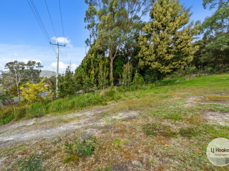 45 Mason Point Road, Eaglehawk Neck TAS 7179