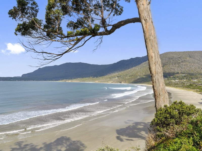45 Mason Point Road, Eaglehawk Neck TAS 7179