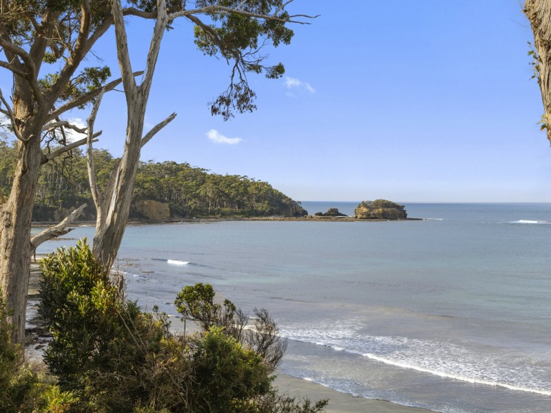45 Mason Point Road, Eaglehawk Neck TAS 7179