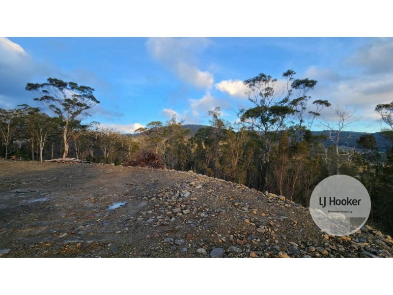 16 Bull Oak Way, Grove TAS 7109