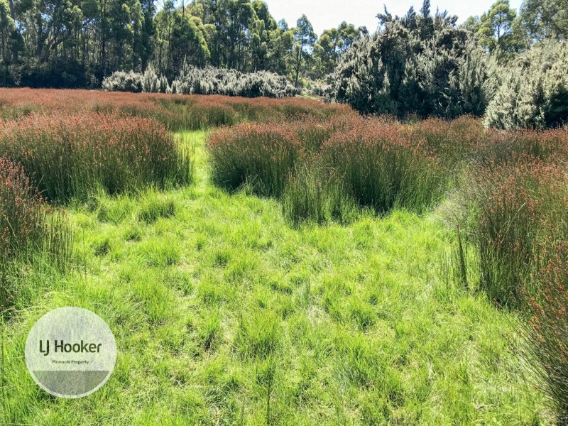 1 Strickland Road, Strickland TAS 7140