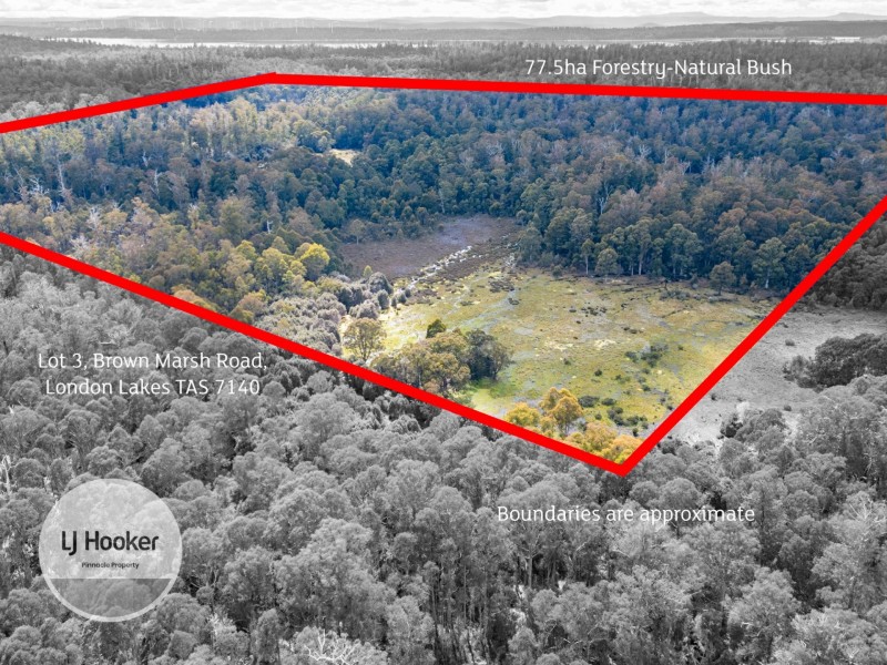 Lot 3 Brown Marsh Road, London Lakes TAS 7140